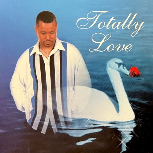 Bye bye solidão cover art