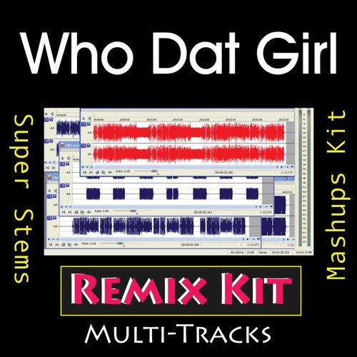 Who Dat Girl  (125 BPM Comp Synth Tribute To Flo Rida feat Akon)