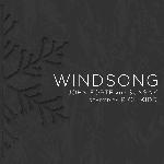 Windsong (Remix) (Radio Edit)