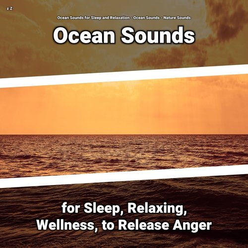 Ocean Waves Sounds cover art