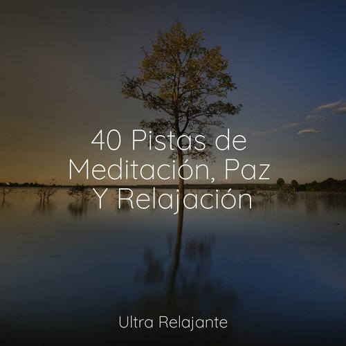 40 Pistas de Meditación, Paz Y Relajación