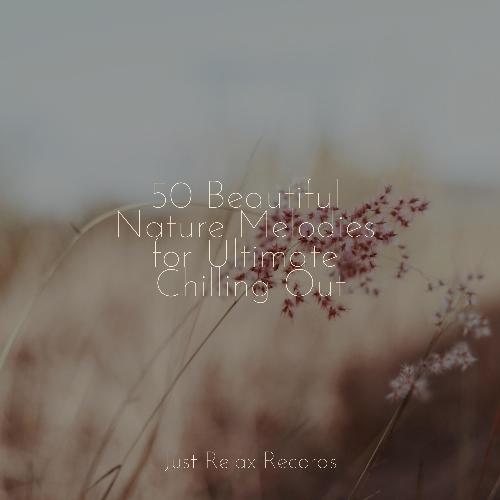 50 Beautiful Nature Melodies for Ultimate Chilling Out