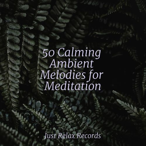 50 Calming Ambient Melodies for Meditation