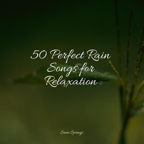 50 Perfect Rain Songs for Relaxation