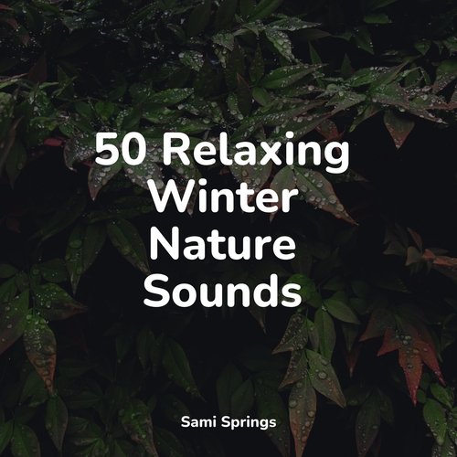 50 Relaxing Winter Nature Sounds