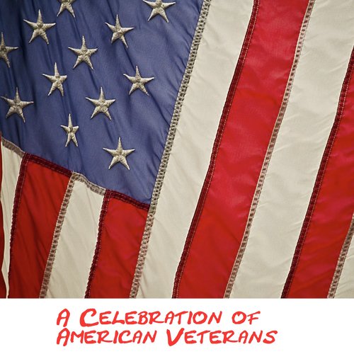 Made in Anerica cover art