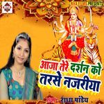 Aaja Tere Darshan Ko Tarse Najriya