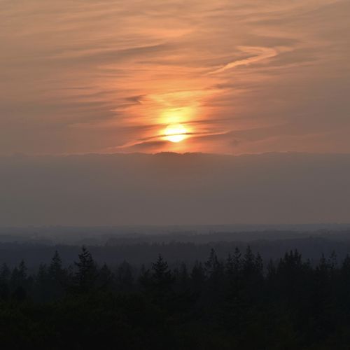 Amber Morning