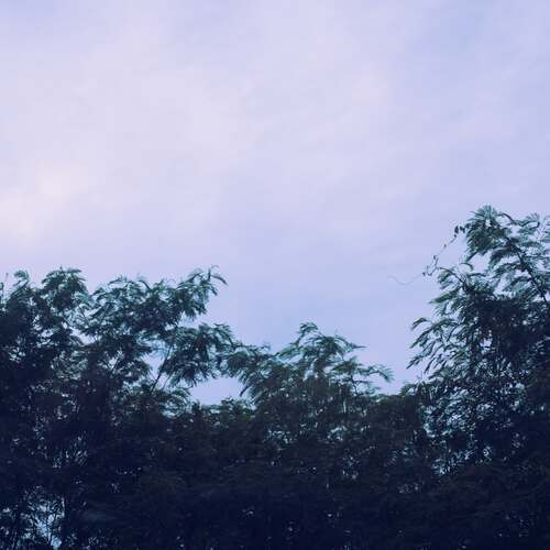 碧绿的天色 (八音盒) cover art