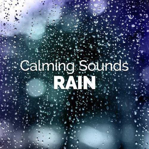 Calming Sounds: Rain