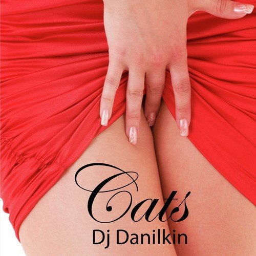 DJ Danilkin