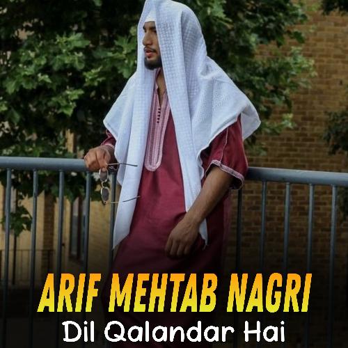 Dil Qalandar Hai