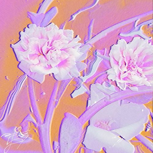 Miradas cover art