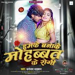 Humke Banake Mohabat Ke Rogi