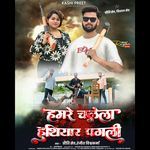 Humre Chalela Hathiyar Pagli