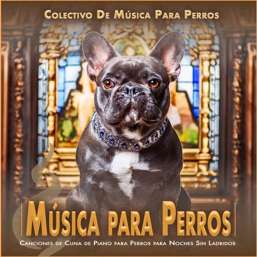 Música para Perros: Canciones de Cuna de Piano para Perros para Noches Sin Ladridos