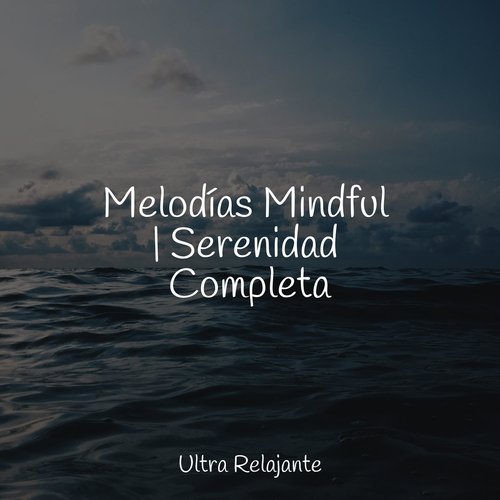 Melodías Mindful | Serenidad Completa_poster_image