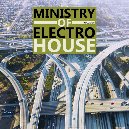 Ministry of Electro House Vol.08