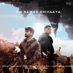 Om Namah Shivaaya
