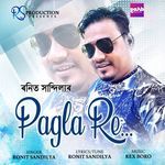 Pagla Re