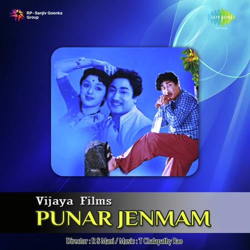 Punar Jenmam