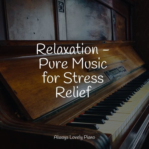 Relaxation - Pure Music for Stress Relief