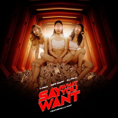 Say What You Want_poster_image