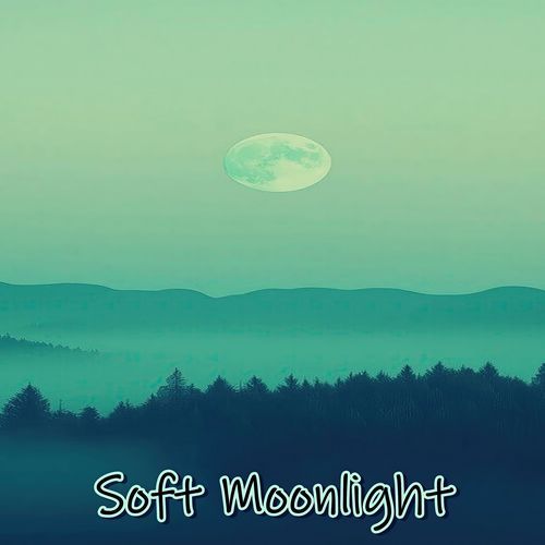 Soft Moonlight_poster_image