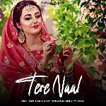 Tere Naal