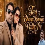Teri Bheegi Bheegi Palko Pe