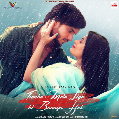 Tumhe Mere Liye Hi Banaya Hai_poster_image