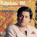 Vehshate Dil movie poster