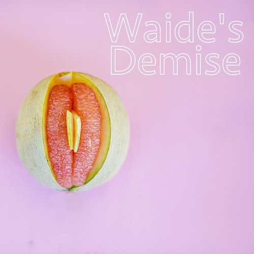 Waide's Demise cover art