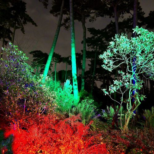 then she starts breathing harder