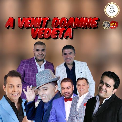 A Venit Doamne Vedeta_poster_image