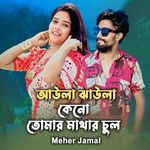 Aula Jhula Keno Tomar Mathar Cul