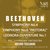 Symphony No.4, in B-Flat Major, Op.60, ILB 275: III. Allegro vivace