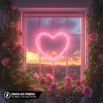 Broken Love Promises