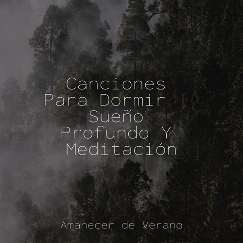 Canciones Para Dormir | Sueño Profundo Y Meditación