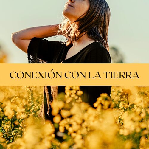 Música Instrumental cover art