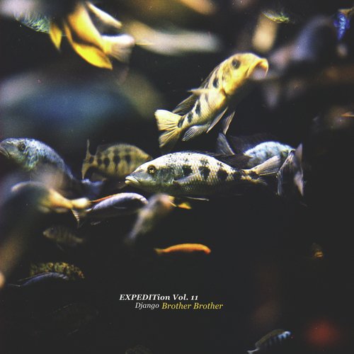 Expedition, Vol. 11 (Brother Brother)
