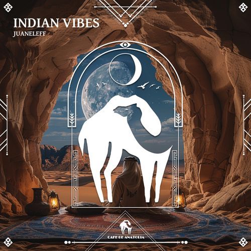 Indian Vibes cover art