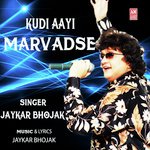 Kudi Aayi Marvadse artwork