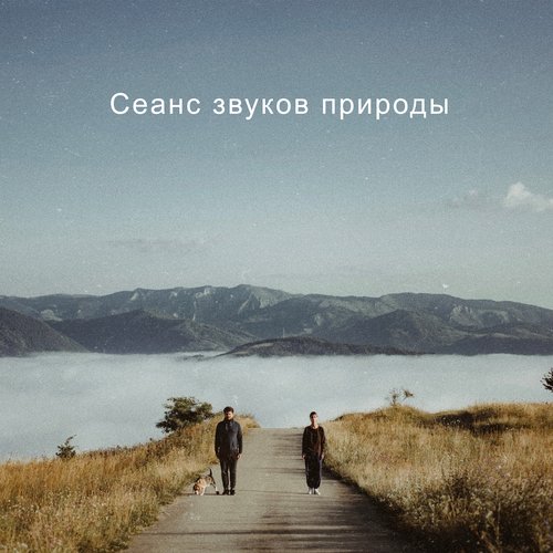 Спокойный сон cover art