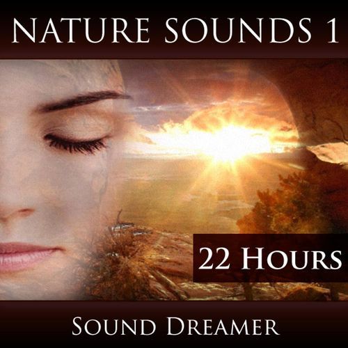 Nature Sounds 1 (22 Hours)_poster_image