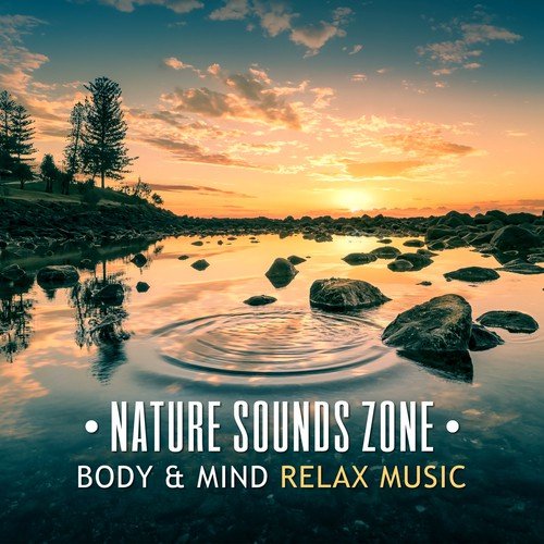 Nature Sounds Zone: Body & Mind Relax Music, Chakra Balancing, Healing Energy, Massage Therapy Meditation, Relaxation, Sleep