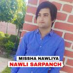 Nawli Sarpanch