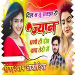 दिल न तू समझ री ज्यान घणों ही रोव याद तेरी में