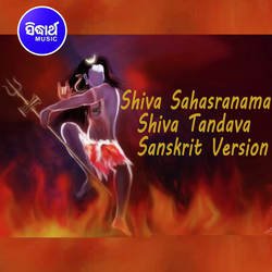 Shiva Sahasranama Shiva Tandaba 1-QhkxV0cBblE