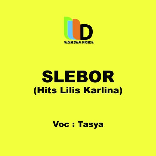 Slebor Hits Lilis Karlina_poster_image